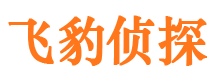 洛川市侦探调查公司